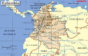 La acción política en el entorno latinoamericano: el caso de Colombia