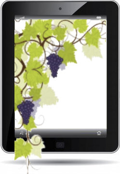 Transición digital en el sector del vino